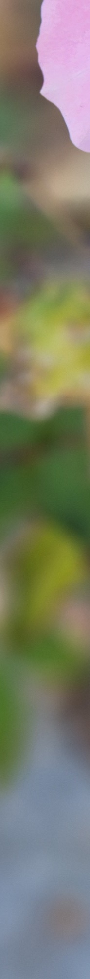자연유착쌍수후기 핏한 쌍꺼풀과 트임으로 자연스럽게 관련 이미지 21