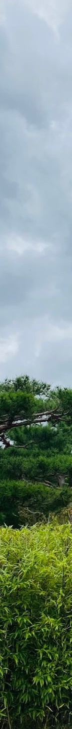 소세지눈재수술후기 소세지눈, 겹주름 해결하려면? 관련 이미지 21