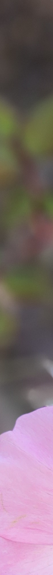 자연유착쌍수후기 핏한 쌍꺼풀과 트임으로 자연스럽게 관련 이미지 12