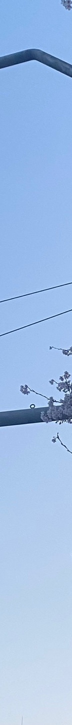 쌍수재수술가격 자연스러운 눈으로 관련 이미지 23