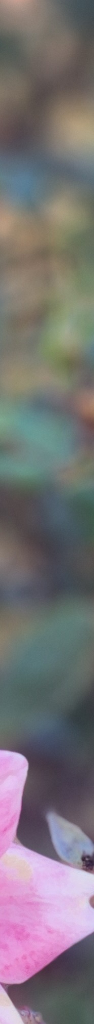 인중축소후기 비율에 맞는 예쁜 입술라인을 위해 관련 이미지 16