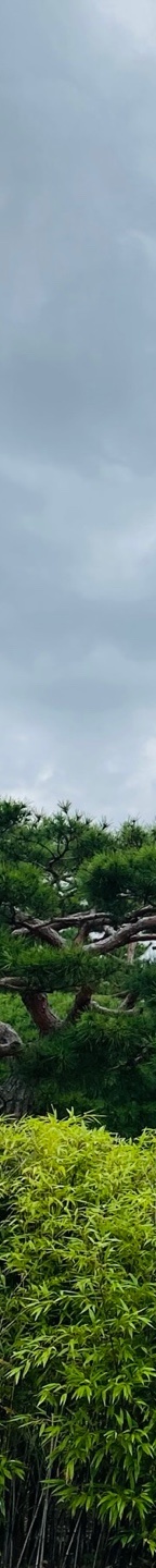 소세지눈재수술후기 소세지눈, 겹주름 해결하려면? 관련 이미지 20