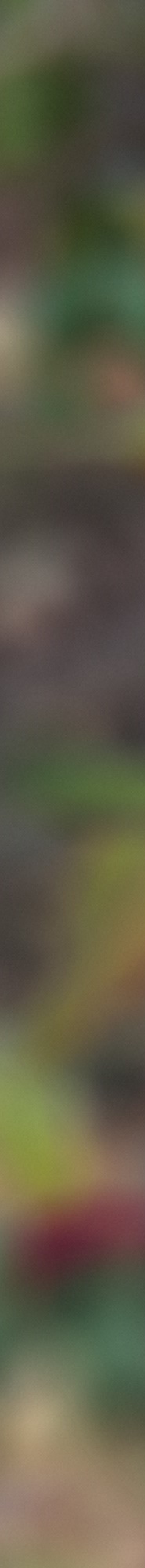 자연유착쌍수후기 핏한 쌍꺼풀과 트임으로 자연스럽게 관련 이미지 10