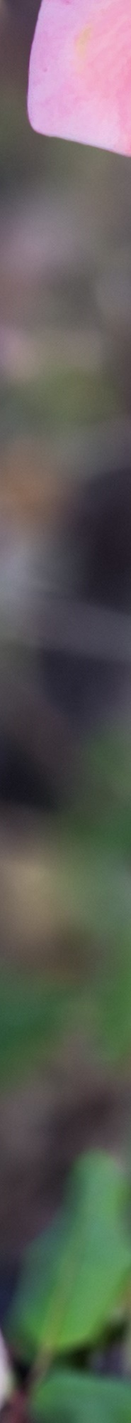 인중축소후기 비율에 맞는 예쁜 입술라인을 위해 관련 이미지 22