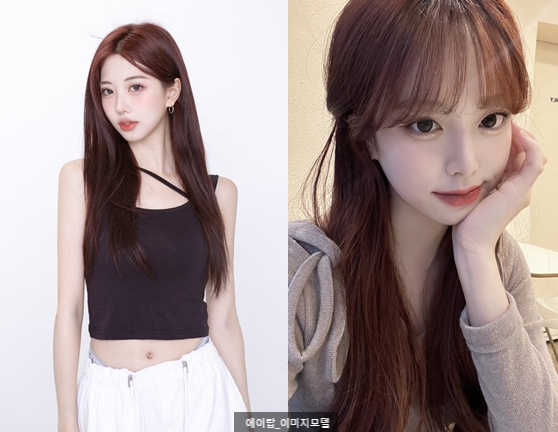코끝성형비용 제대로 알고 계획해야 관련 이미지 9