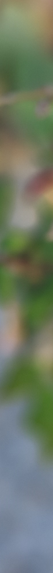자연유착쌍수후기 핏한 쌍꺼풀과 트임으로 자연스럽게 관련 이미지 20