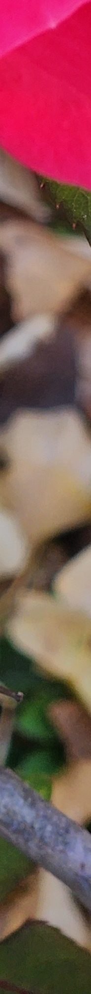 Gangnam Mouth Corner Surgery So Your Lips Match the Look You Want image 26