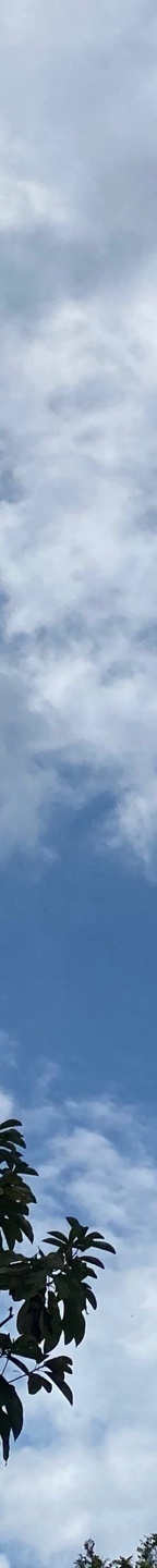 눈코성형비용  이목구비 조화로운 맞춤 디자인으로 관련 이미지 14