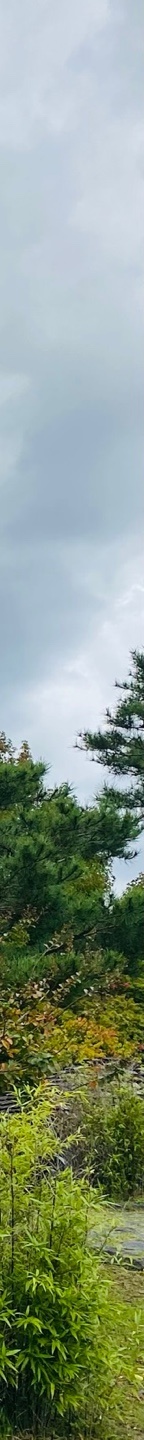 소세지눈재수술후기 소세지눈, 겹주름 해결하려면? 관련 이미지 28