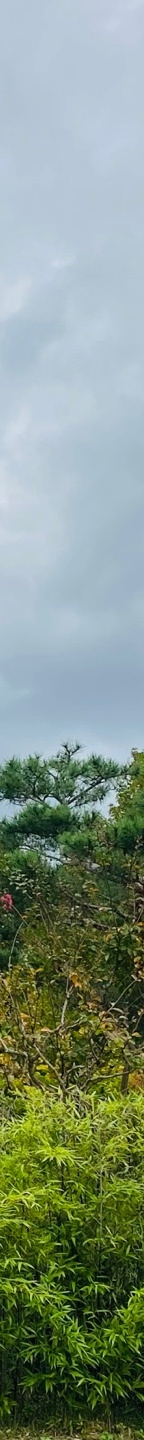 소세지눈재수술후기 소세지눈, 겹주름 해결하려면? 관련 이미지 26