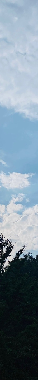 중년눈밑지방 눈꺼풀이 계속 처진다면? 관련 이미지 24