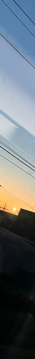 Systematically Analyzing the Causes of Nasal Contracture Revision Surgery and Shape Deformity image 13