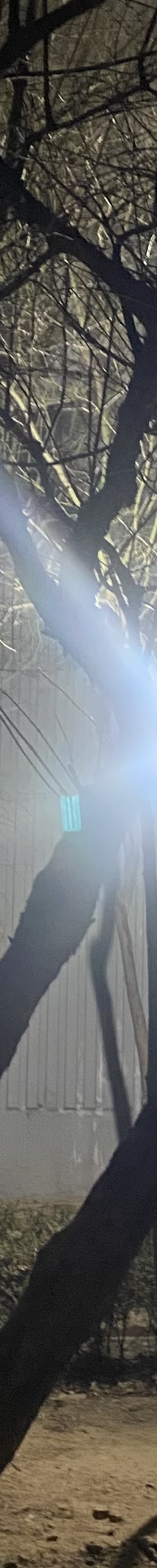자연유착쌍수후기 인아웃라인 만들기 관련 이미지 14