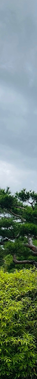 소세지눈재수술후기 소세지눈, 겹주름 해결하려면? 관련 이미지 19