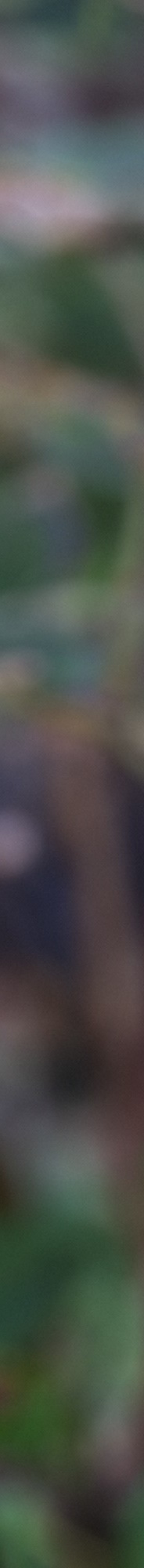 인중축소후기 비율에 맞는 예쁜 입술라인을 위해 관련 이미지 19