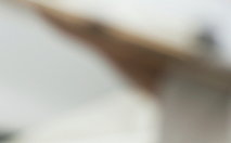 Areolar Surgery, Natural and Beautiful! image 19