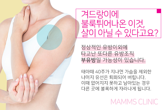 부유방주사 효과가없다면 관련 이미지 2