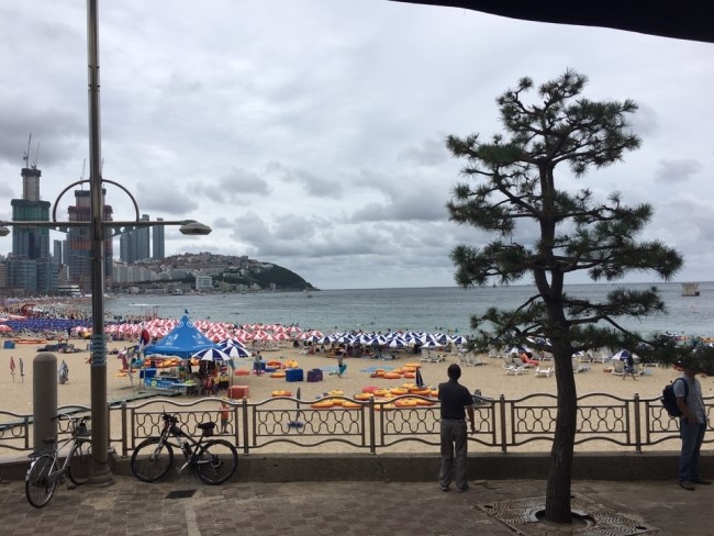 국내여름휴가지 부산해운대지 관련 이미지 1