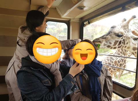 용인에버랜드 로스트밸리 명당자리 관련 이미지 2