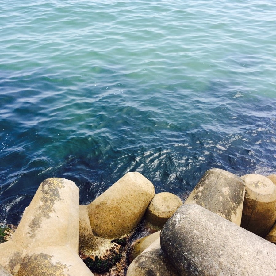 이번년도 여름 水못본 1人 관련 이미지 2