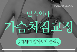 가슴처짐교정 모양과촉감까지 관련 이미지 6