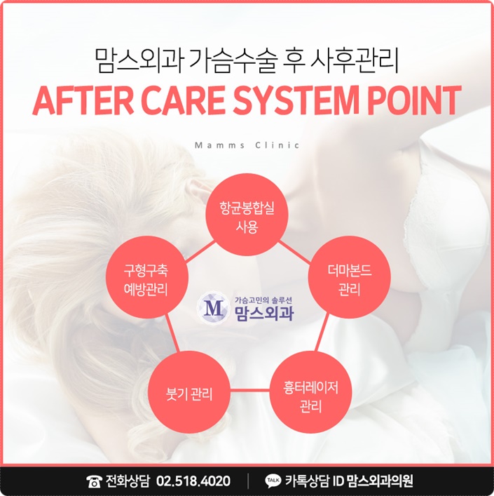 벨라젤스무스파인 궁금함 풀고 가세요! 관련 이미지 9
