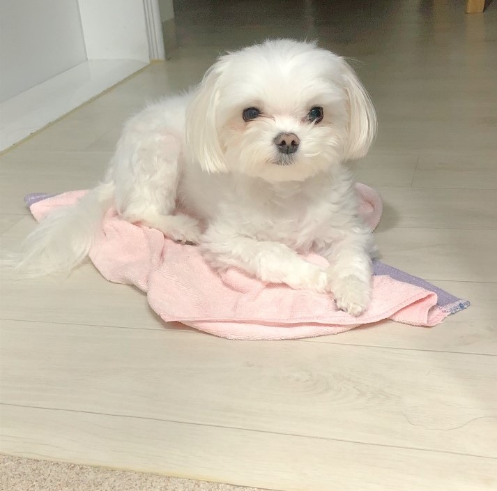 화장실 지킴이 ㅋㅋㅋㅋㅋ 관련 이미지 1