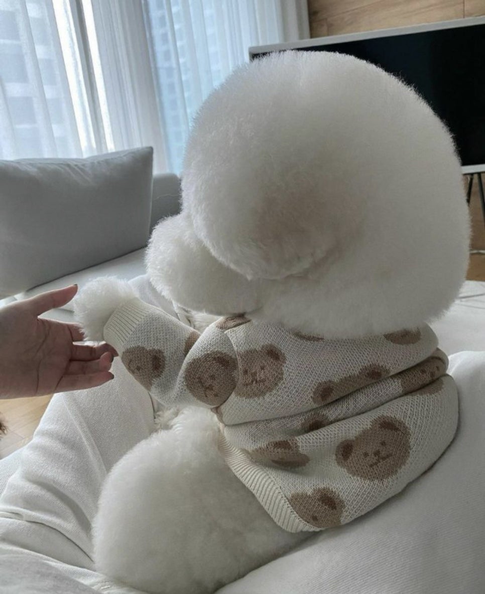 인형같아요 ㅠㅠㅠㅠ 관련 이미지 1