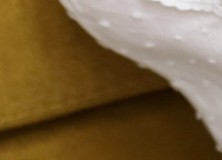 Learn About the Expertise of a Breast Surgery Specialist in Inverted Nipple Correction! image 21