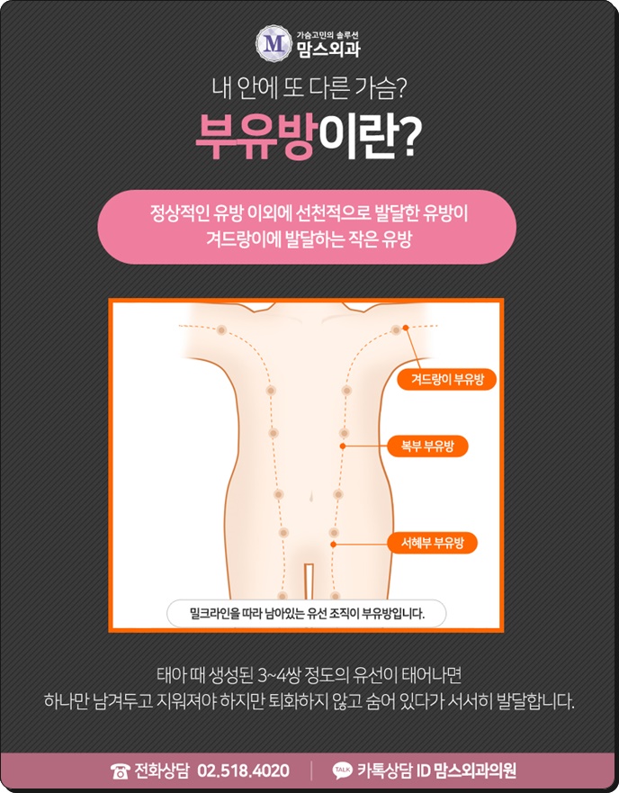 부유방수술비용 여러 부분을! 관련 이미지 3