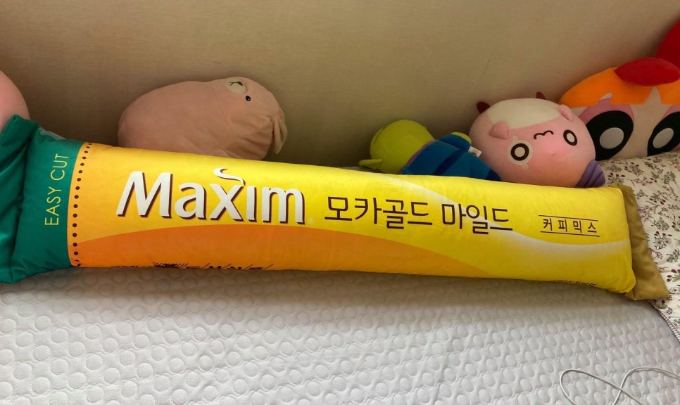 바디필로우 귀엽네욬ㅋㅋㅋ 관련 이미지 1