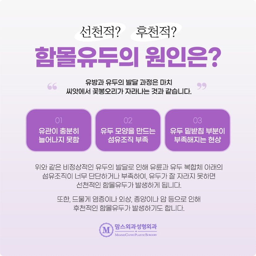 함몰유두수술 후기 무엇을 볼까요? 관련 이미지 4