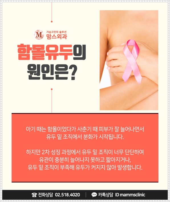 함몰유두수술비용 신중하게 고려하여 관련 이미지 3