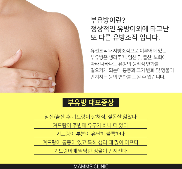 부유방마사지 효과없다면 관련 이미지 2