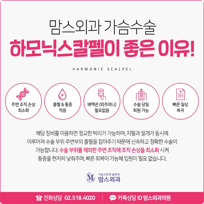 벨라젤스무스파인 궁금함 풀고 가세요! 관련 이미지 6