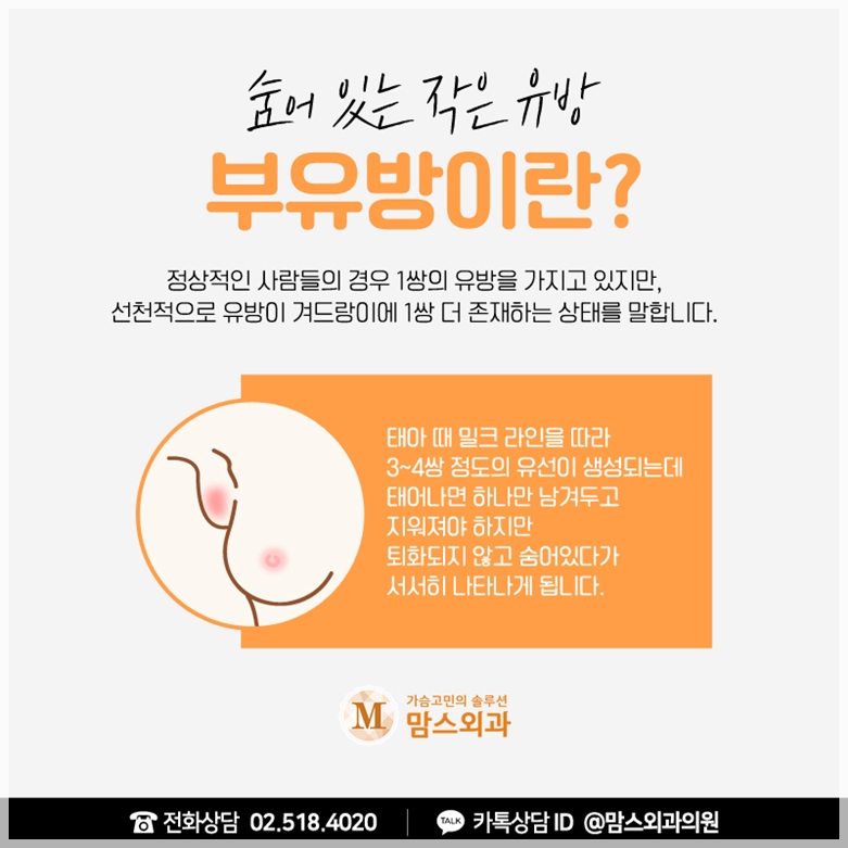 부유방빼기 꼼꼼하게 체크해요. 관련 이미지 2