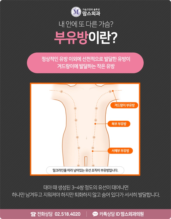 부유방 수술 후기 근심을 덜자 관련 이미지 2