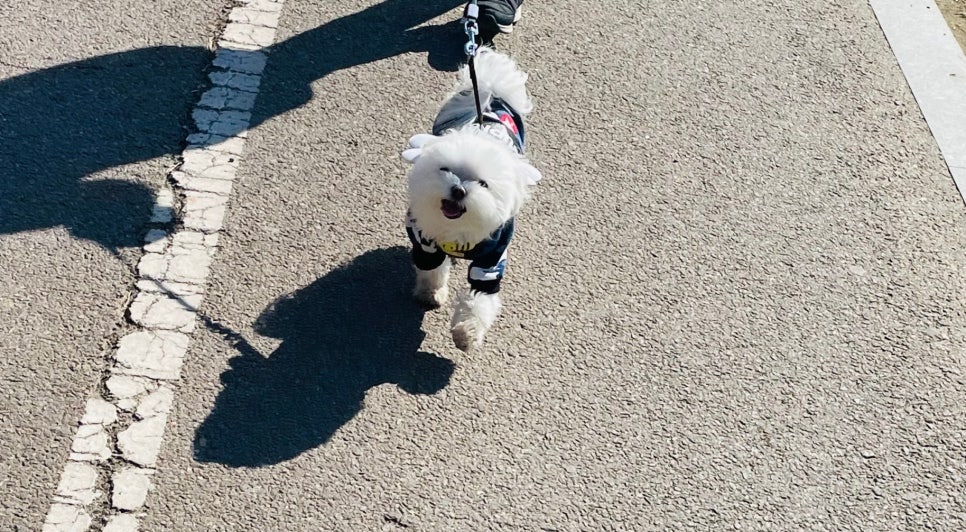 Weekend Walk! image 1
