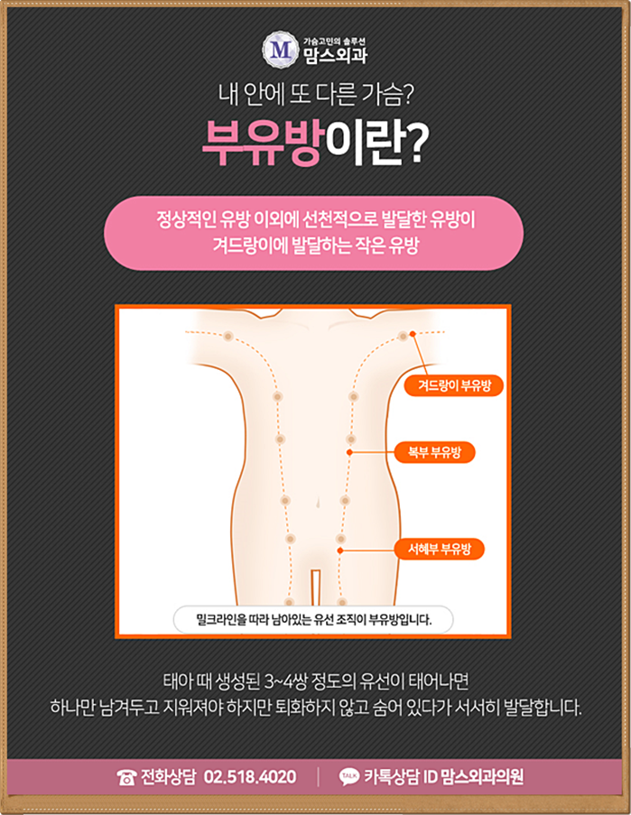 부유방수술잘하는곳 당연히 찾아야지! 관련 이미지 3