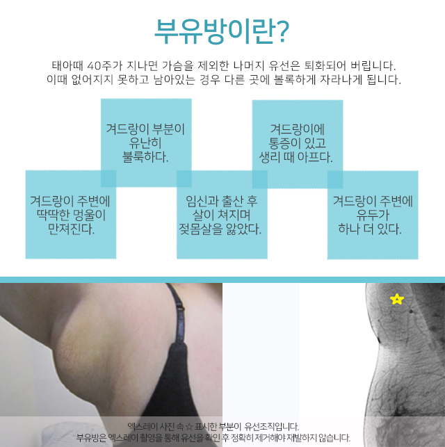 여의사유방외과 깔끔하게 안전하게 관련 이미지 2