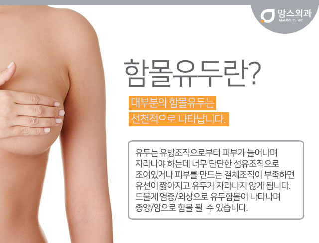 함몰유두수술비용 합리적인선택 관련 이미지 2