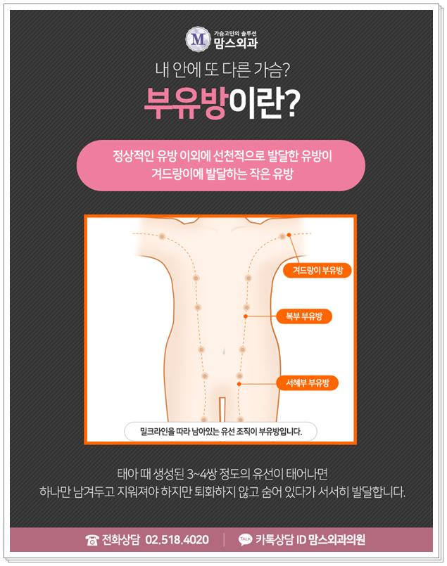부유방빼기 하루에 가능 했다니 관련 이미지 2