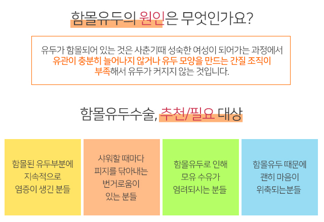 함몰유두수술비용 이것저것따져봐도 관련 이미지 2