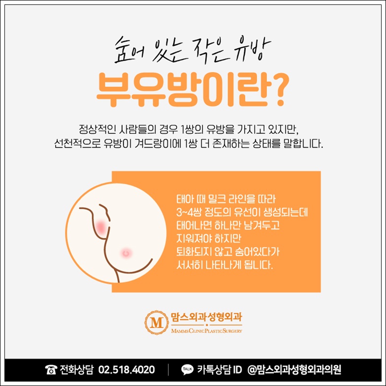 부유방제거비용 중요하지만 관련 이미지 2