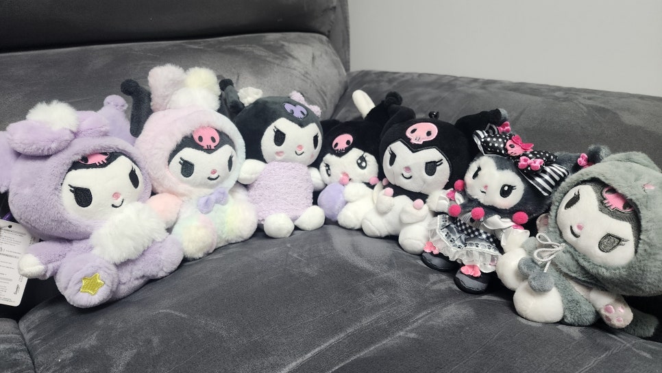 A Rather Secret Hobby of a Doctor Who Does Anti-Aging Plastic Surgery in Jamsil — I Actually Quite Like Kuromi image 4