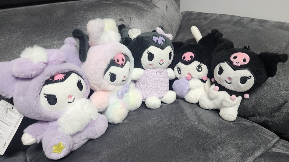 A Rather Secret Hobby of a Doctor Who Does Anti-Aging Plastic Surgery in Jamsil — I Actually Quite Like Kuromi image 2