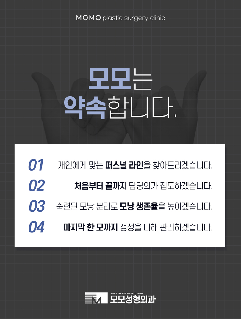 모발이식땀 나는 일은 생착률에 어떤 영향을 미칠까 관련 이미지 3