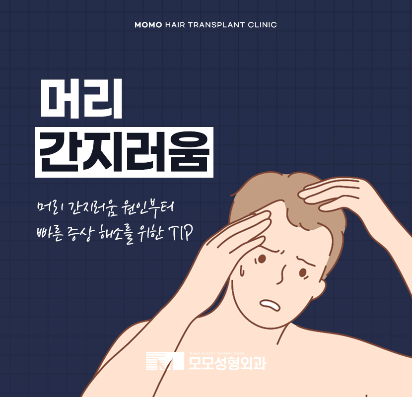 머리 간지러움 원인과 빠른 증상 해소를 위한 tip 관련 이미지 1