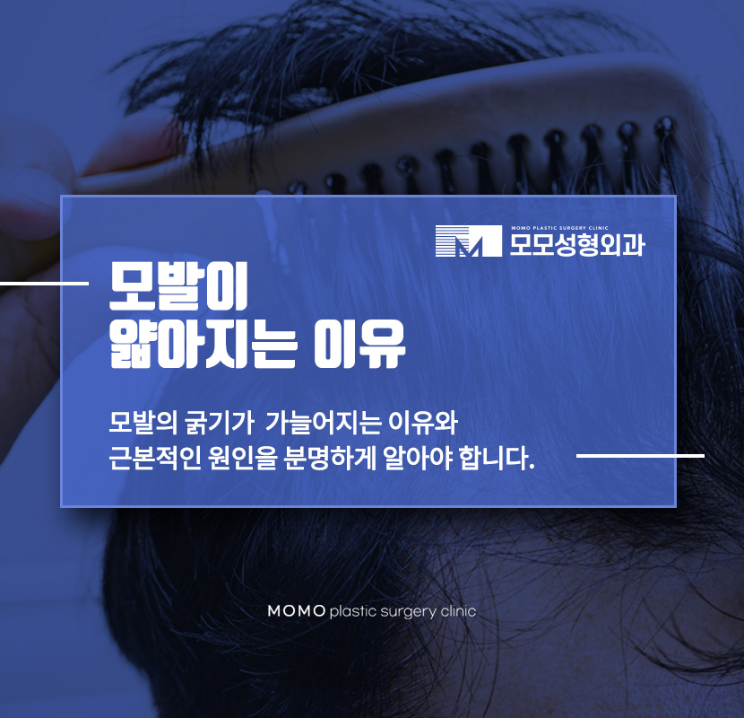 모발이얇아지는이유 그 원인부터 분명하게 알아야하는 관련 이미지 1