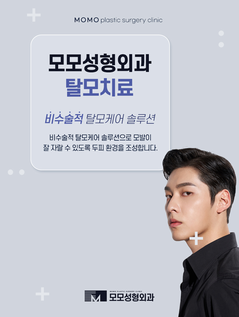 모발이식3000모비용 찾아 보는 것 보다 우선적인 것은 관련 이미지 6